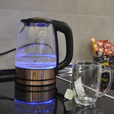 Mali Princ Pupin Palace アパート